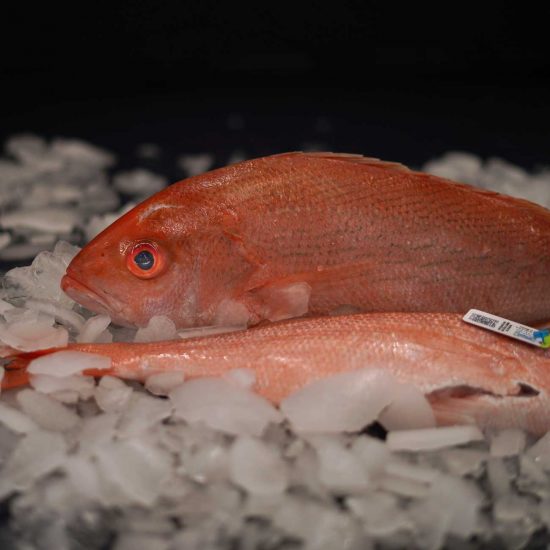 Pair of Fresh, Whole Vermilion Snapper