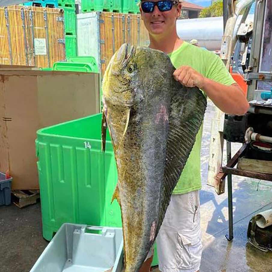 Florida Mahi UF