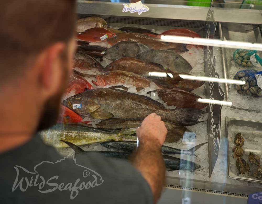 Selecting the perfect Grouper