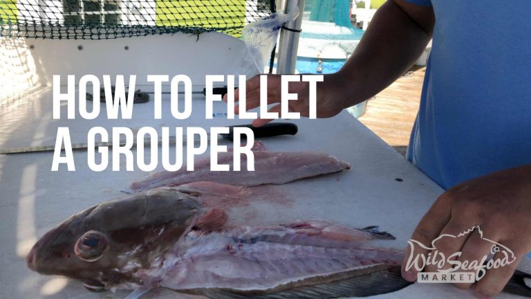 How to Fillet a Grouper | Most Meat, No Bones | Plus Cheeks