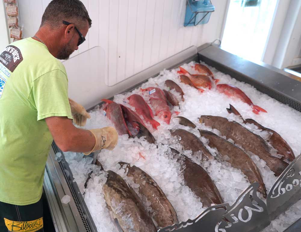 Fresh fish options on ice at Wild Seafood Market