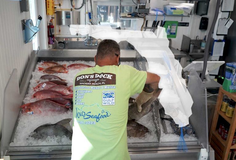 Why Floridians Love Wild Seafood Market
