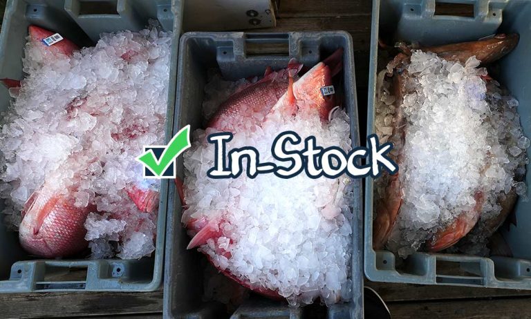 Fish We Almost Always Have In-Stock