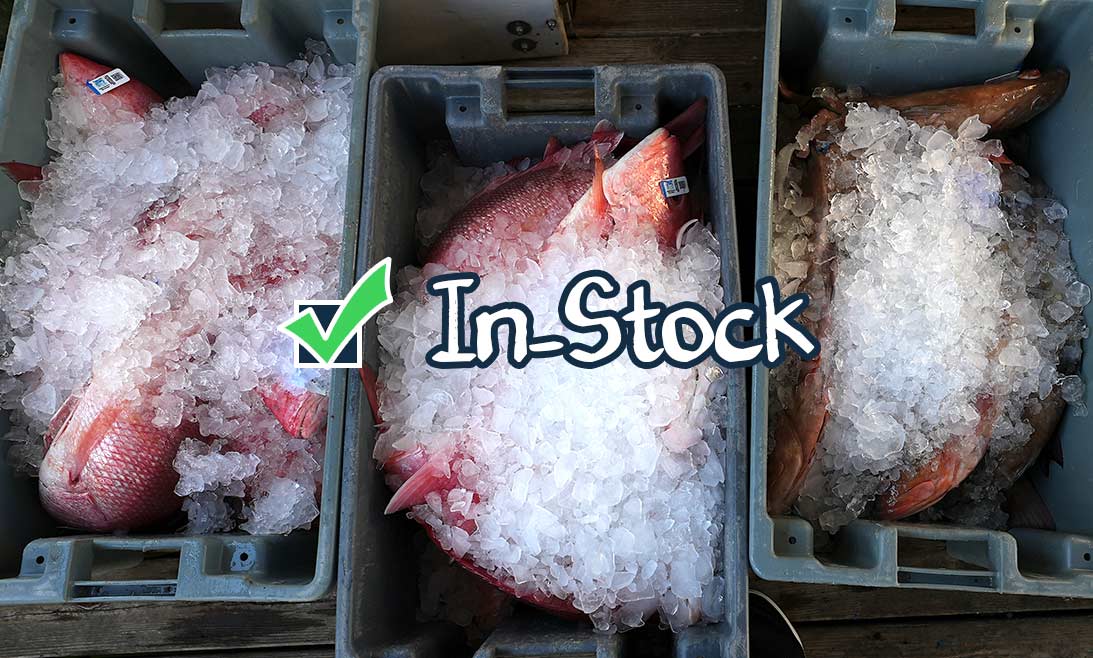 Snapper and grouper on ice at offload