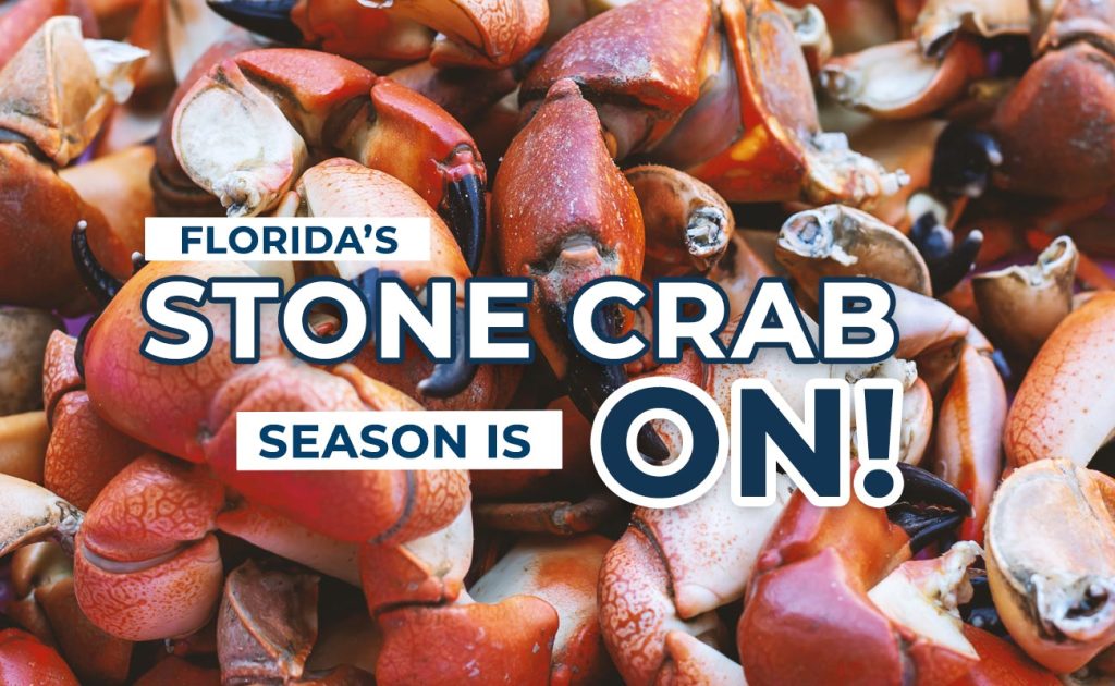 Florida Stone Crabs