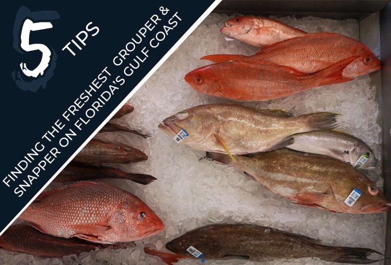 Top 5 Tips for Buying Fresh Grouper and Snapper on Florida’s Gulf Coast